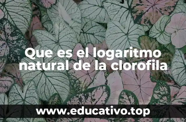 Que es el logaritmo natural de la clorofila