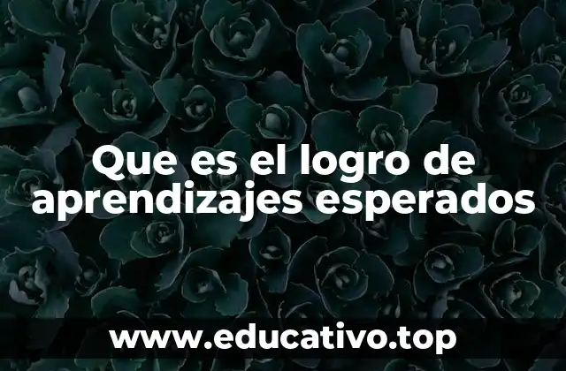 Que es el logro de aprendizajes esperados