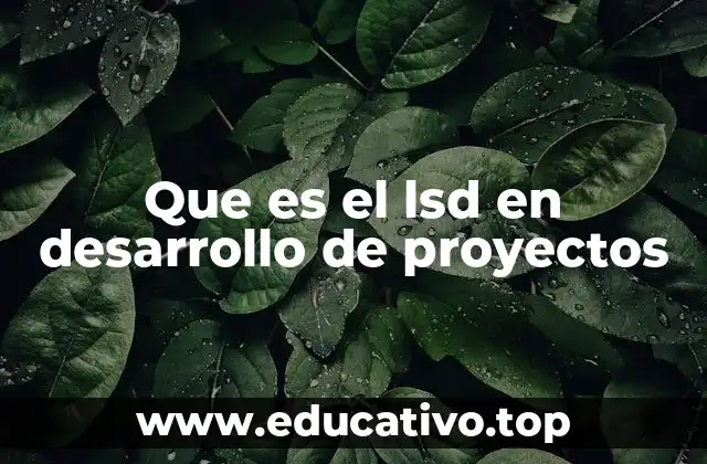 La importancia de la lógica en la secuenciación de tareas