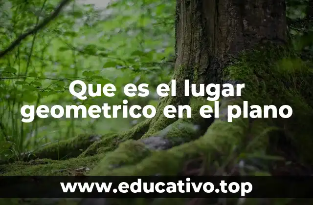 Que es el lugar geometrico en el plano