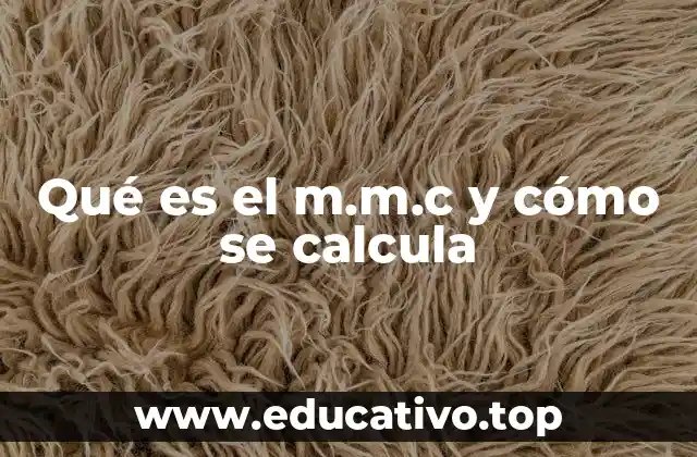 Qué es el m.m.c y cómo se calcula