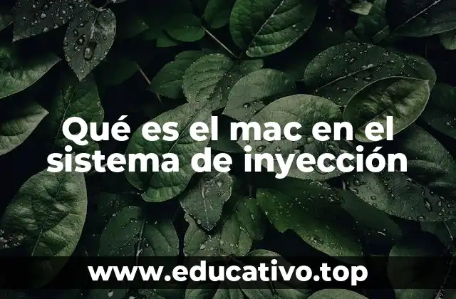 Qué es el mac en el sistema de inyección