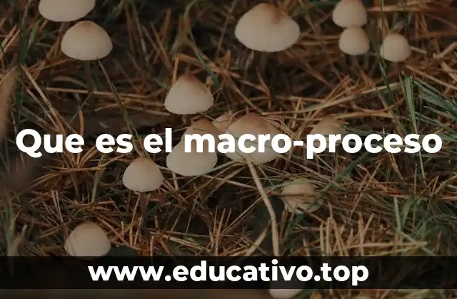 Que es el macro-proceso