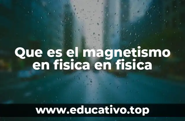 Que es el magnetismo en fisica en fisica