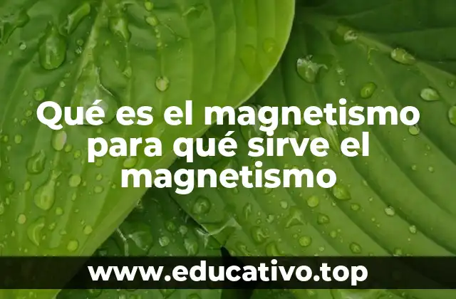Qué es el magnetismo para qué sirve el magnetismo