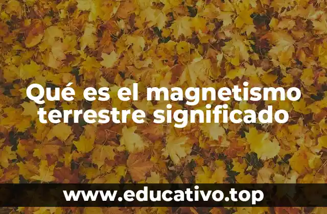 El campo geomagnético y su relación con la vida en la Tierra