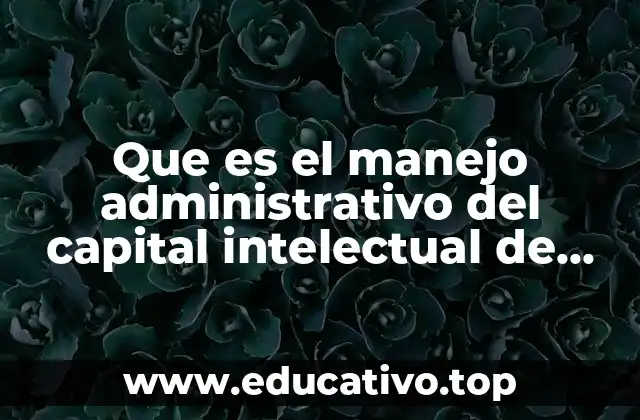 Que es el manejo administrativo del capital intelectual de bmw