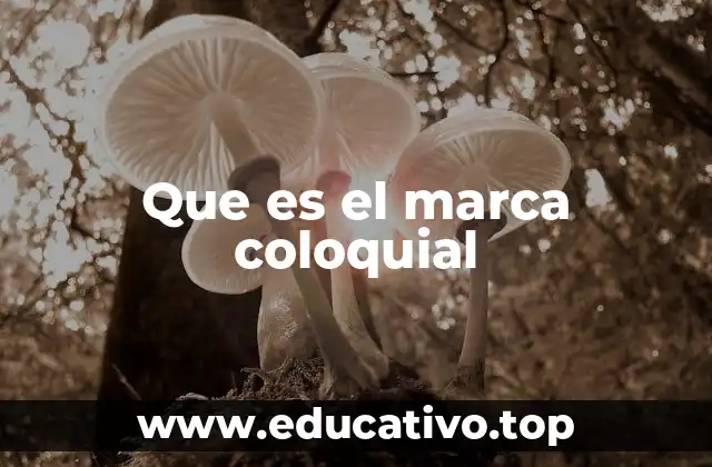 Que es el marca coloquial