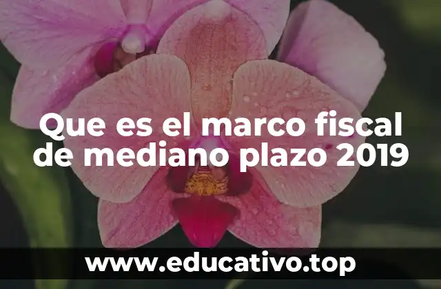 Que es el marco fiscal de mediano plazo 2019