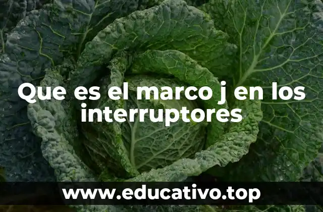 Que es el marco j en los interruptores