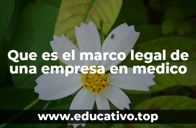Que es el marco legal de una empresa en medico
