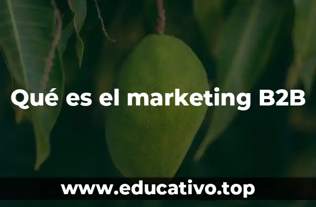 Cómo se diferencia el enfoque empresarial en el marketing