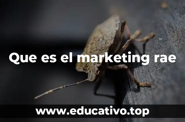 Que es el marketing rae