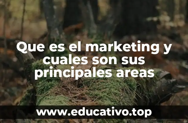 Que es el marketing y cuales son sus principales areas