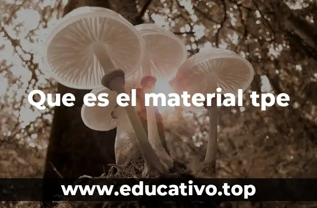 Características del material TPE