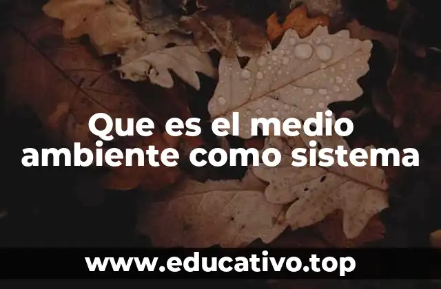 Que es el medio ambiente como sistema