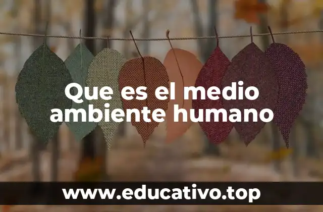La relación entre el ser humano y su entorno