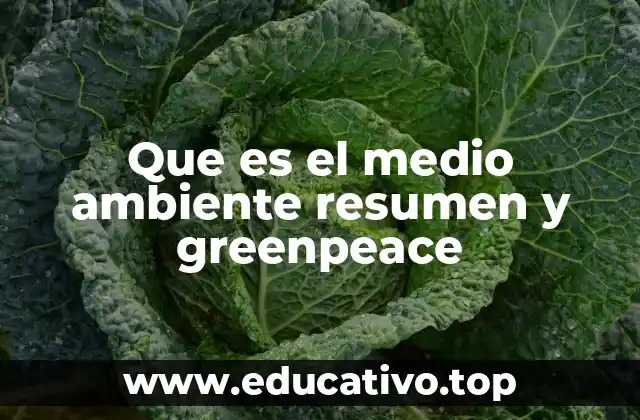 Que es el medio ambiente resumen y greenpeace