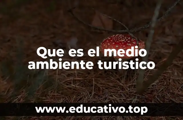 Que es el medio ambiente turistico