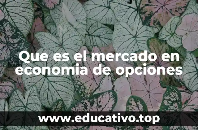 Que es el mercado en economia de opciones