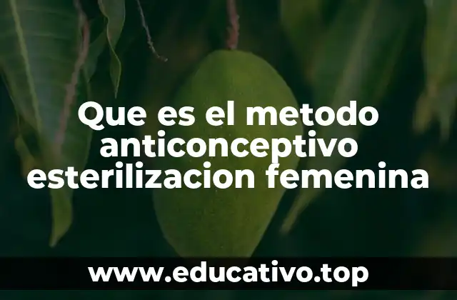 La evolución de los métodos anticonceptivos en la medicina femenina