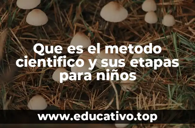 Que es el metodo cientifico y sus etapas para niños
