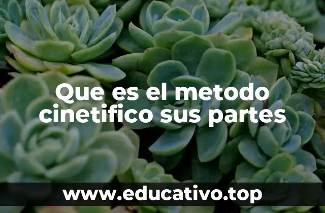 Que es el metodo cinetifico sus partes