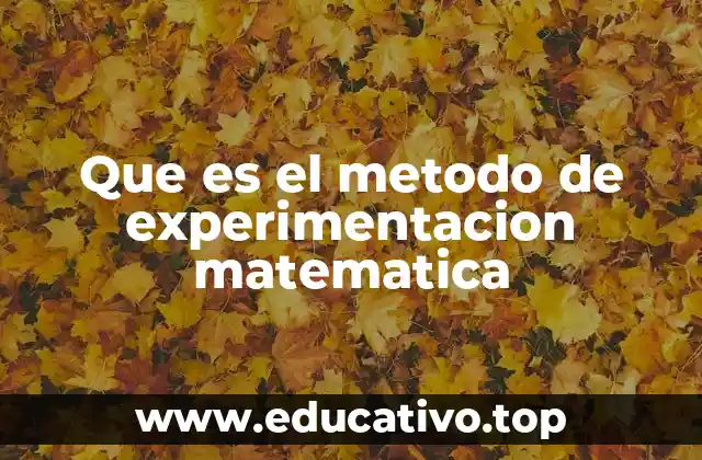 La importancia del enfoque experimental en la investigación matemática