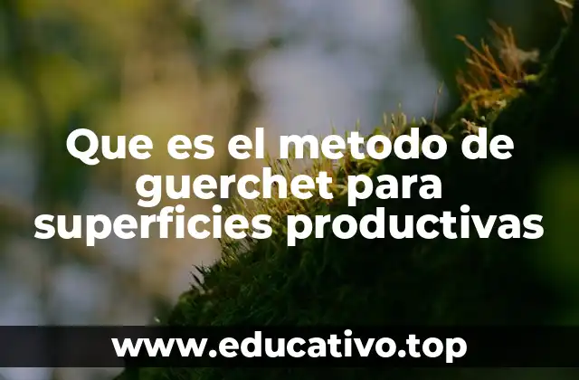 Que es el metodo de guerchet para superficies productivas