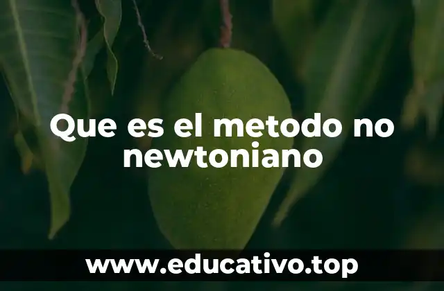 Que es el metodo no newtoniano