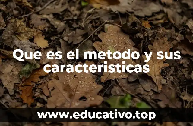 Que es el metodo y sus caracteristicas