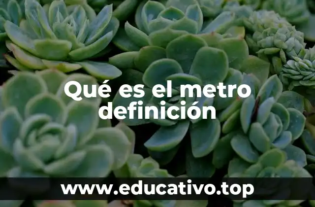 Qué es el metro definición