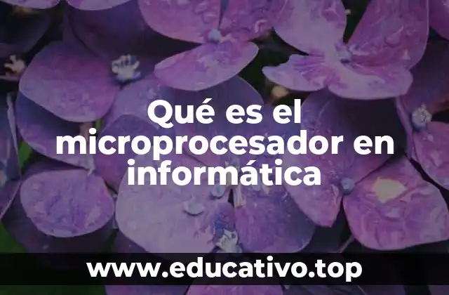 El corazón del sistema informático