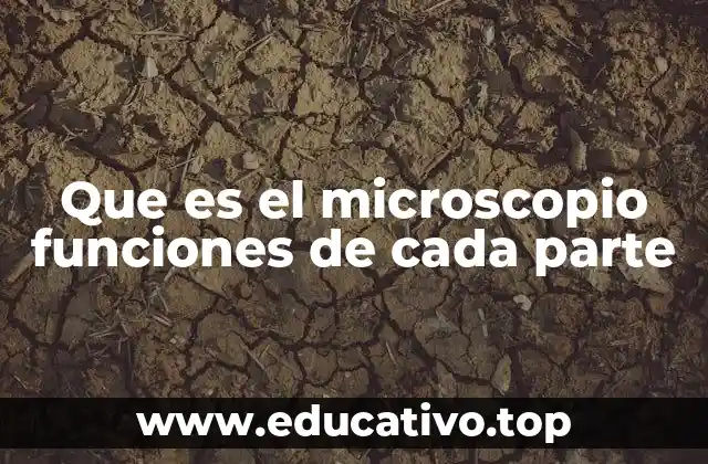 Que es el microscopio funciones de cada parte