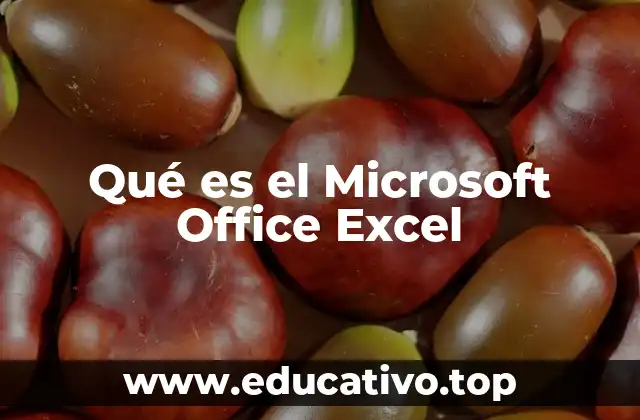 Qué es el Microsoft Office Excel