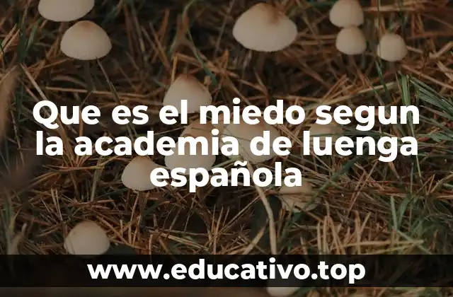 Que es el miedo segun la academia de luenga española