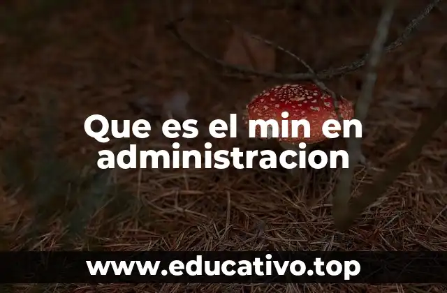 El papel del min en modelos de optimización administrativa