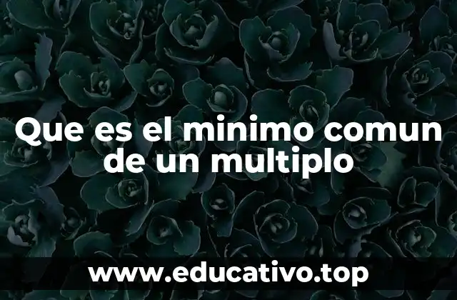 Aplicaciones del mínimo común múltiplo en la vida cotidiana