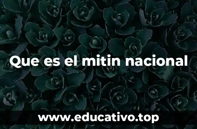 Que es el mitin nacional