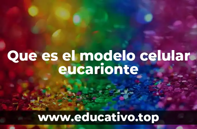 Características que distinguen a las células eucariontes