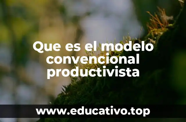 Que es el modelo convencional productivista