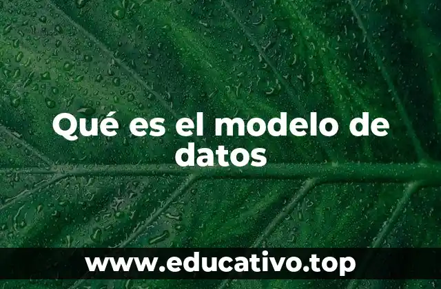 Qué es el modelo de datos