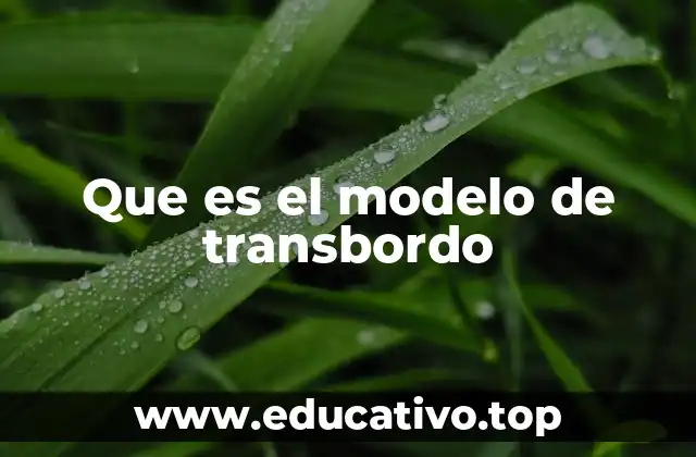Que es el modelo de transbordo