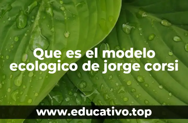 Que es el modelo ecologico de jorge corsi