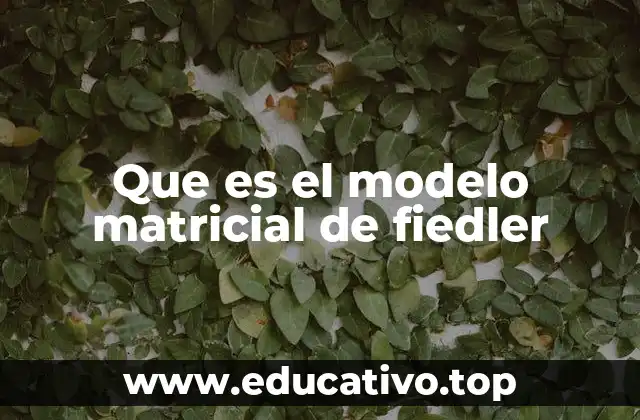 Que es el modelo matricial de fiedler