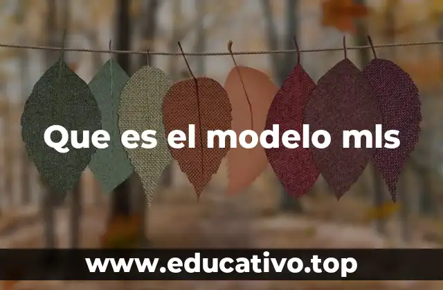 Que es el modelo mls