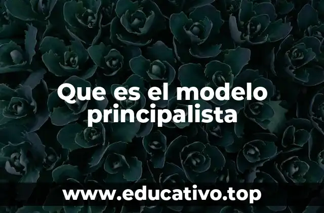 Que es el modelo principalista