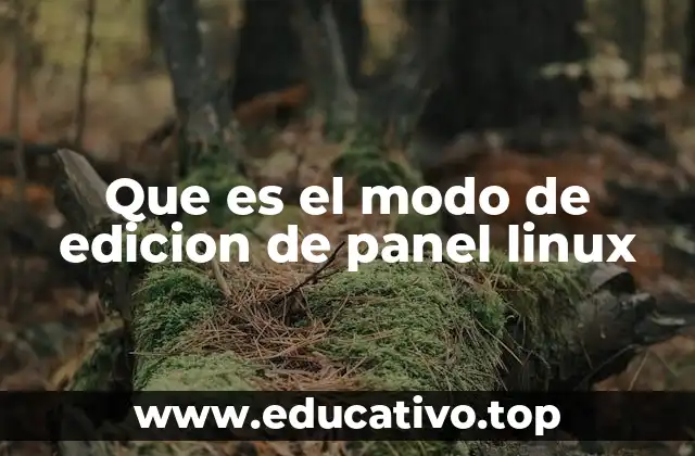 Que es el modo de edicion de panel linux