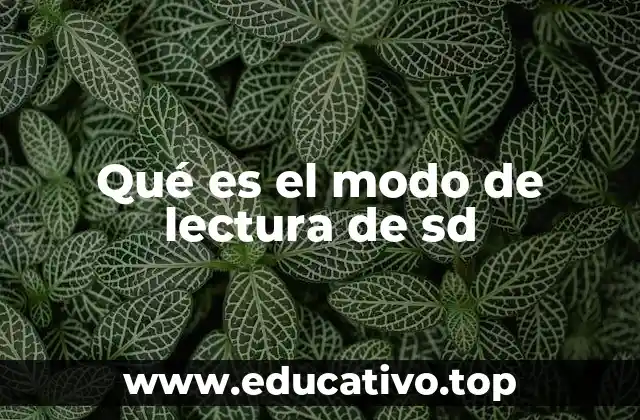Qué es el modo de lectura de sd