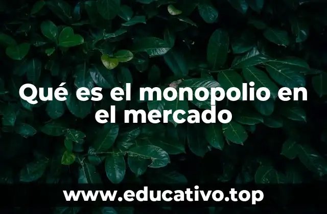 Qué es el monopolio en el mercado